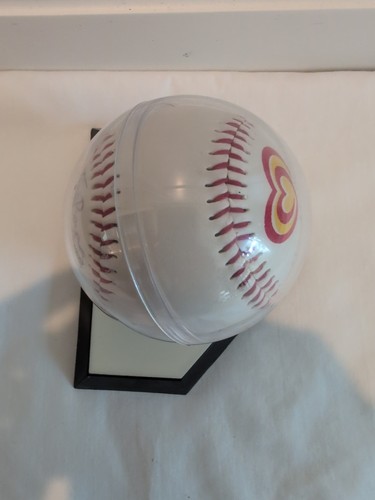 1999 Schaumburg Flyers Terry Beyna Signed Baseball MiLB Mount Prospect Illinois - Picture 6 of 7
