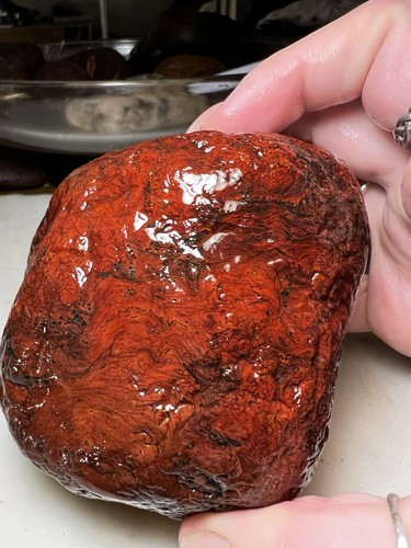 Mary Ellen Jasper Stromatolite Minnesota Rough Lapidary Rock Specimen 1lb 12oz - Bild 2 von 11