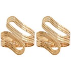 2 Pcs Metal Tie Backs for Curtains Clip Window Holder Decorative