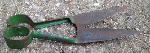 Vintage John Guy & Co 11.5" Riveted Sheep Shears Made in Sheffield Green, Prop - Picture 2 of 8