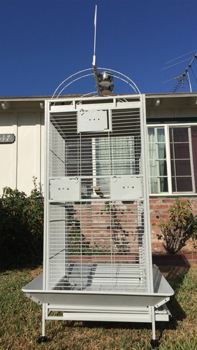 XLARGE 75" Bird Parrot Play-Top Cage Cockatiel Macaw Conure African Grey Conures - Picture 3 of 9