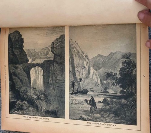 1925 Berlino Bibbia Terra Santa Ebraico 700 Foto Palestina Giudaica ????? ????? - Foto 3 di 12