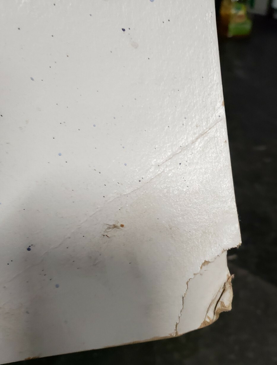 Picture 6 of 12