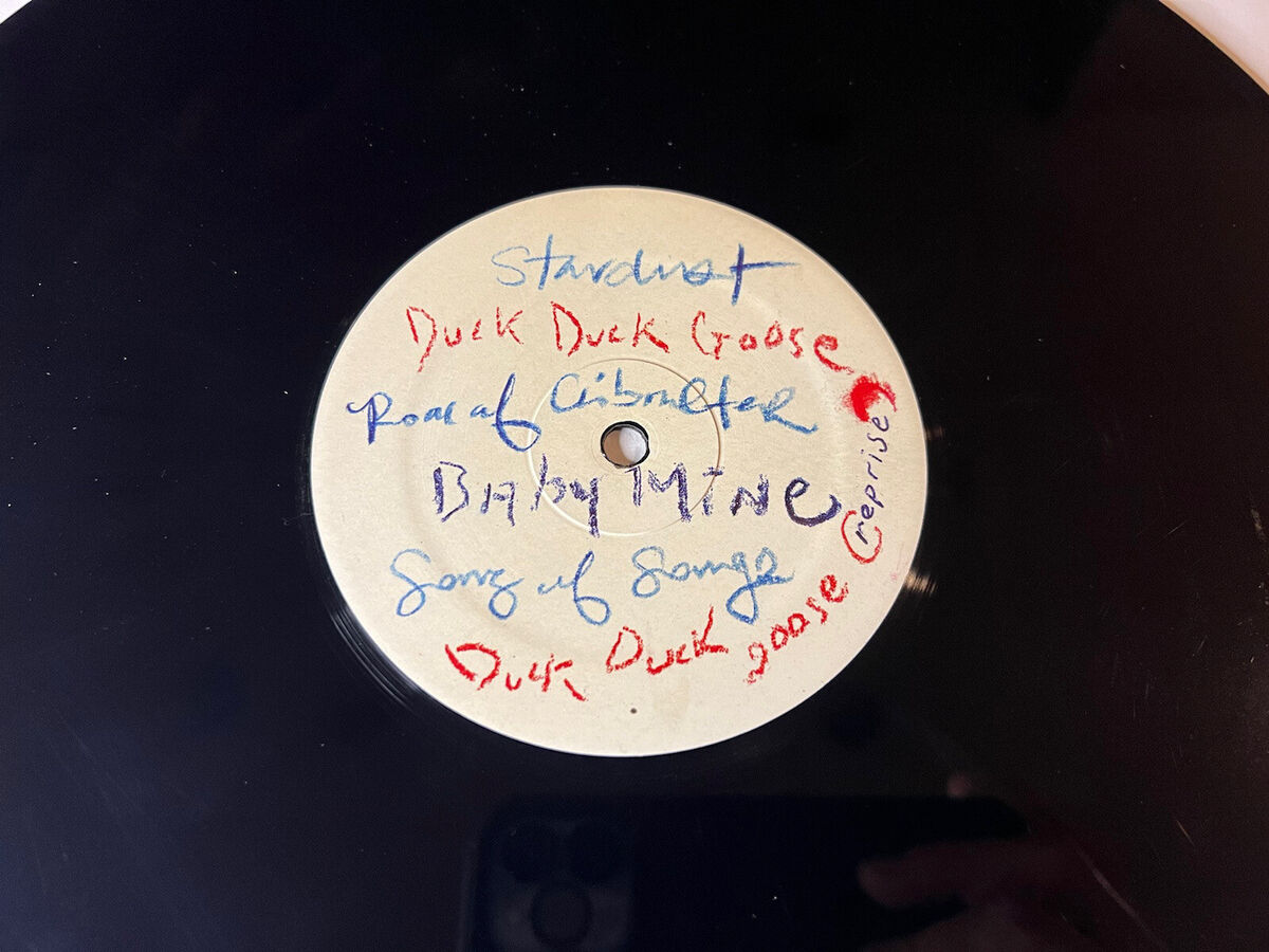 Sandwitches Lot Duck Duck Goose 12” Vinyl Mrs Jones Cookies Sandwitches Lot Duck Duck Goose 12” Vinyl Mrs Jones Cookies