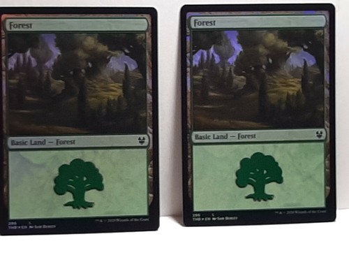 Forest 4X X4 Foglio olografico comune Theros Beyond Death fresco nuovo - Foto 3 di 4