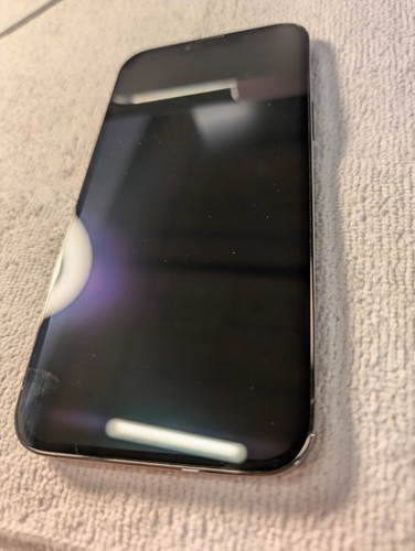 iPhone 13 Pro Max - 128GB - Graphite - Unlocked - Good Condition *Damaged*