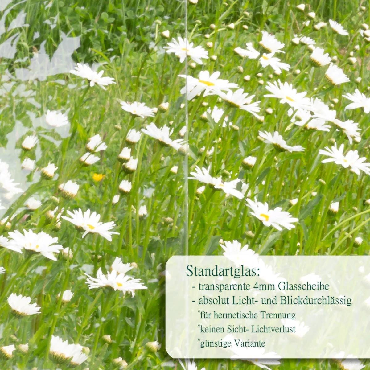 Bild 10 von 12