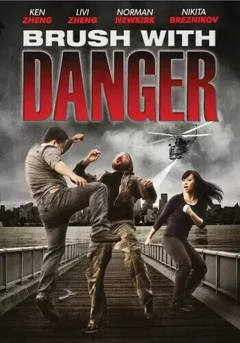 Brush with Danger (2015, DVD) - Picture 1 of 1