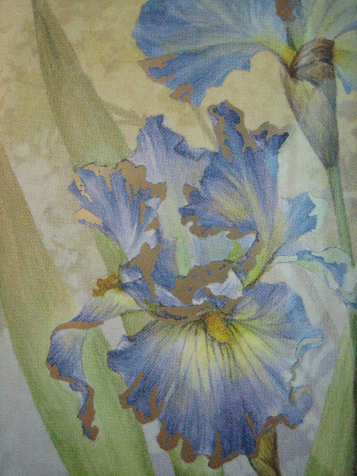 Picture 6 of 8