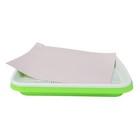 Practical Green Plastic Microgreen Tray Comes with Ten Planting Papers