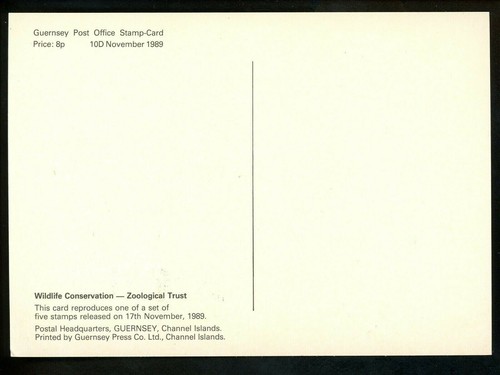 Postal History Guernsey FDC #416-420 SET OF 5 Maximum Card monkey sloth 1989 - Picture 6 of 10