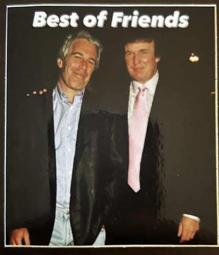 Trump Epstein Best of Friends Aufkleber 3” 3x3 3”x3” 3 Zoll Quadrat - Bild 3 von 3