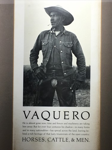 Vaquero: Genesis of the cowboy A photographic essay by William Wittliff poster - Picture 12 of 12