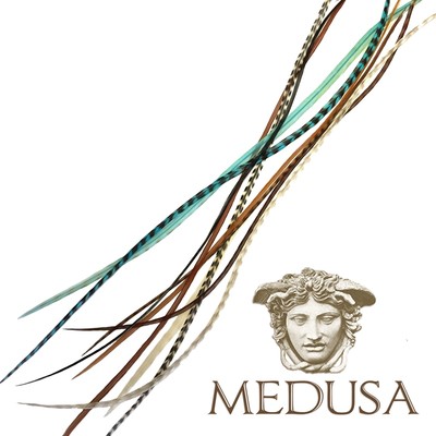 Turquoise Tribe Natural Real Feather Hair Extensions Whiting