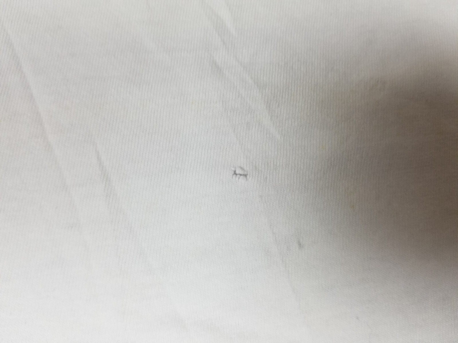 FILA MAGLIETTA VINTAGE 96' ATLANTA OLYMPIC ROWING BIANCA PUNTO SINGOLO COTONE TG L INDOSSATA