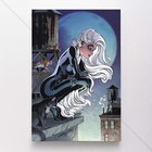 Black Cat Poster Canvas Marvel Comic Book Cover Art Print #18277
