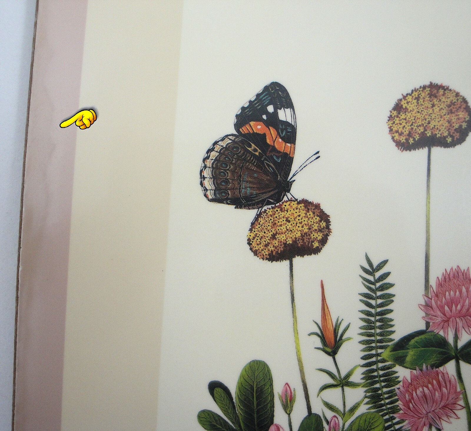 Bild 6 von 12