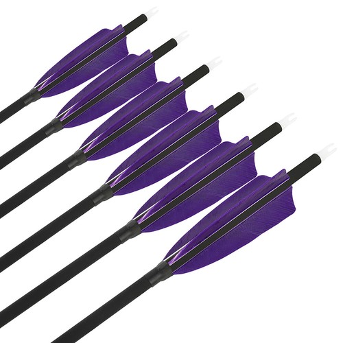 28" 30" 31" Carbon Arrows SP500 Feathers Screw Tips Recurve Compound Bow Hunting - Picture 29 of 36