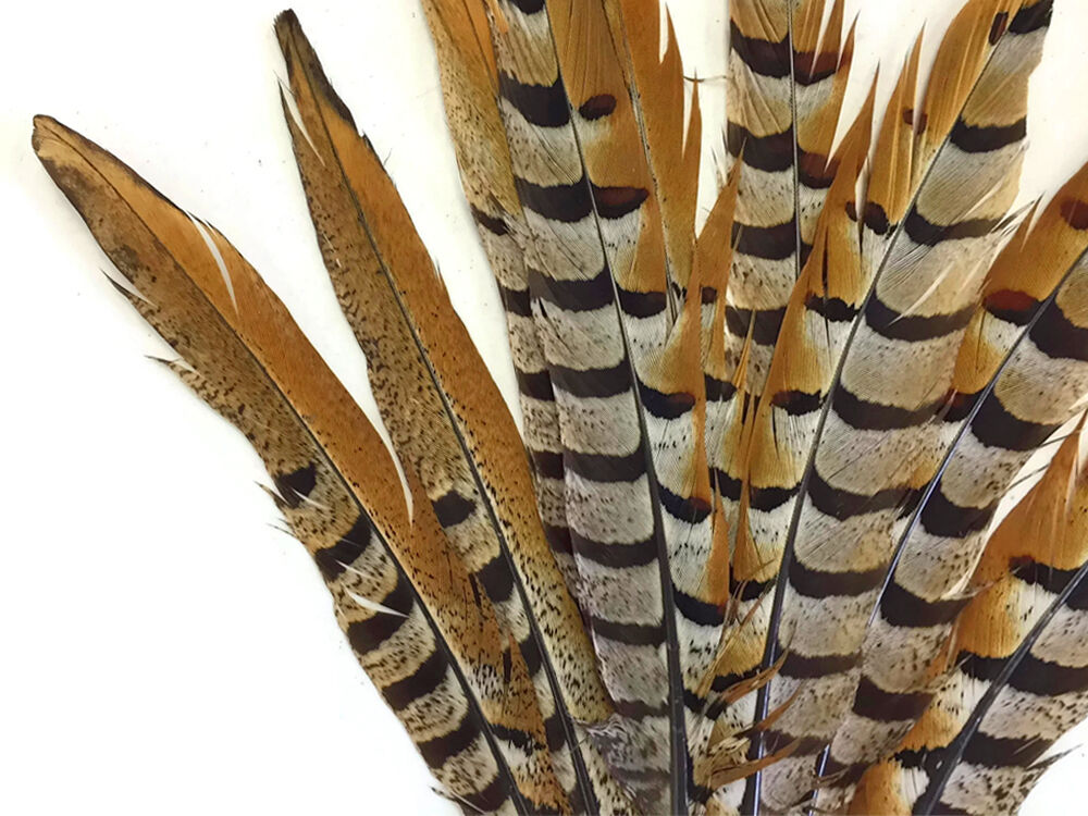 10 Pieces -Super Long Natural Venery Pheasant Tail 35-40\