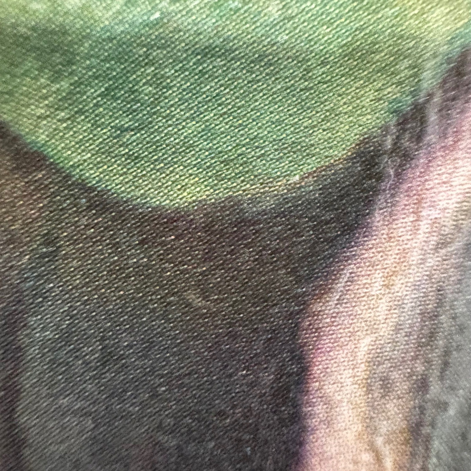 Picture 12 of 15