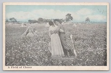Vintage Sentimental Scene Postcard A Field of Clover No 2332