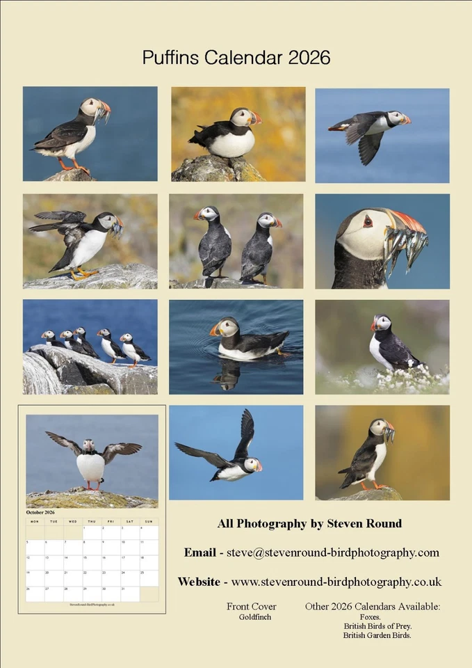Puffins 2026 A4 Wildlife Calendar (Photography by Steve Round) - Image 2 of 4