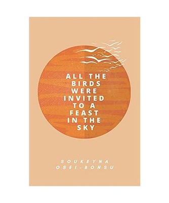 All the Birds Were Invited to a Feast in the Sky, Soukeyna Osei-Bonsu