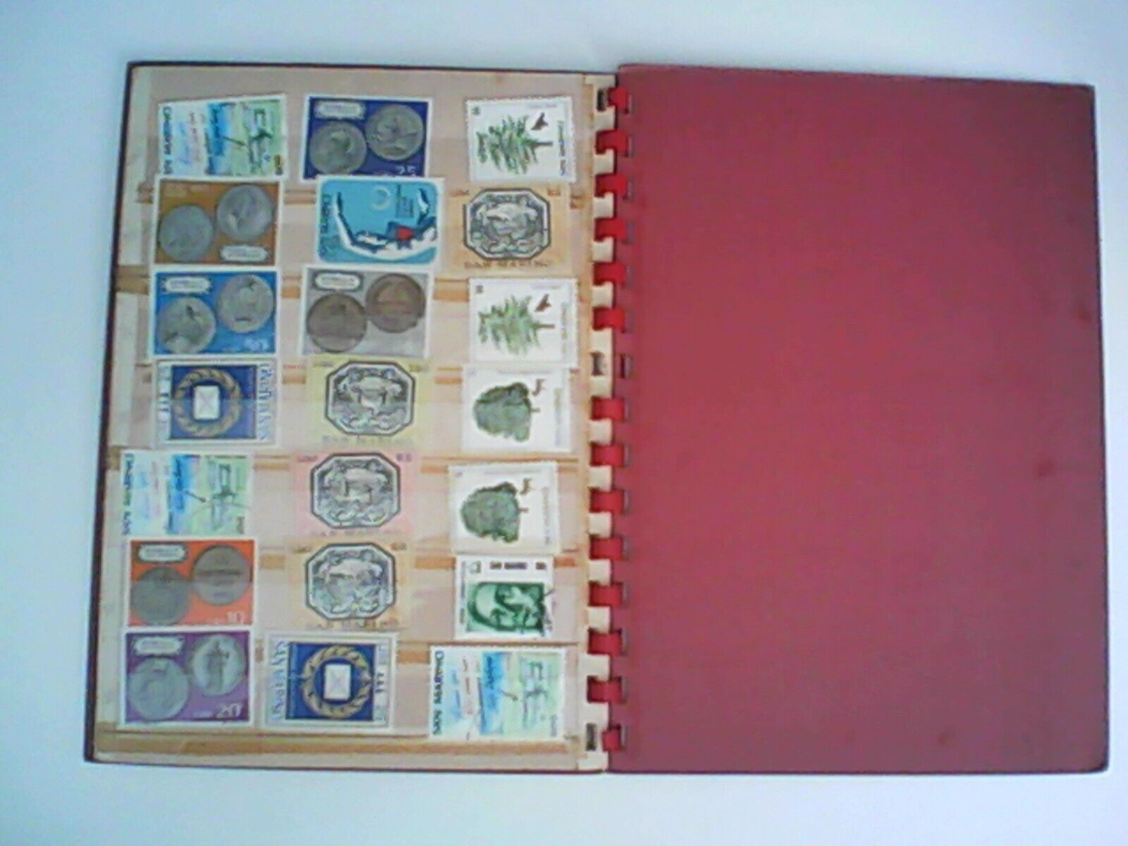 Foto 5 di 9