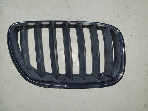 2000-2004 BMW X5 - LEFT AND RIGHT HOOD Kidney Grille 8247673 - Picture 6 of 6