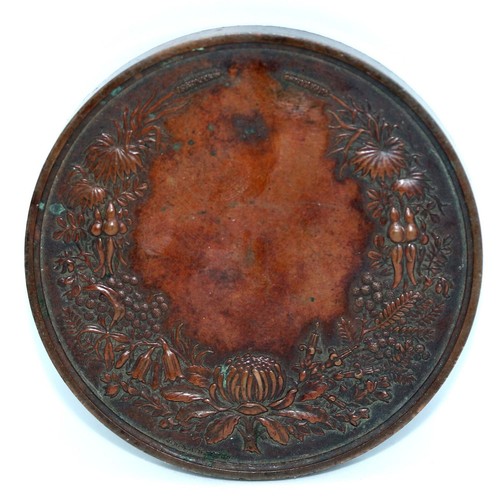UNAWARDED 1879 Australia Sydney International Exhibition Bronze LARGE 75mm Medal - Picture 17 of 18
