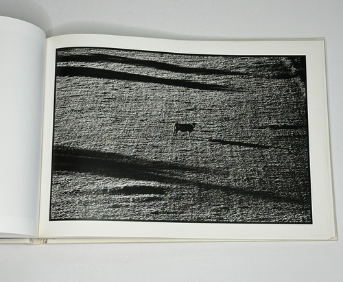 Artist Monograph "Vaches" Thierry des Ouches (1997, Hardcover, Subervie Edition) - Picture 12 of 15