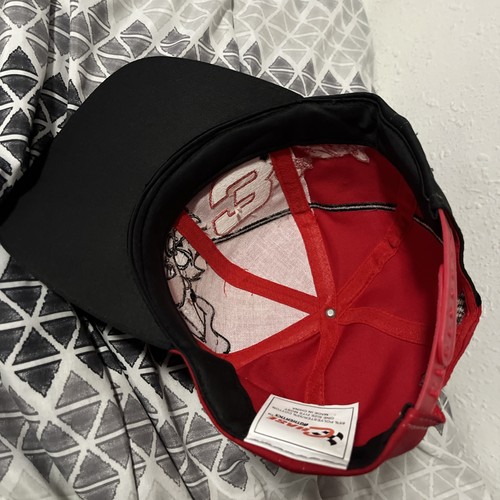 Cappello Berretto Vintage Dale Earnhardt #3 Taz Diavolo della Tasmania NASCAR Chase SnapBack - Foto 9 di 12