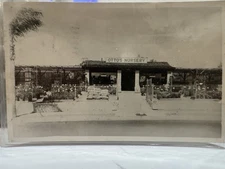 Otto’s Nursery San Diego California 1954 Florist Storefront RPPC Photo Vintage 8