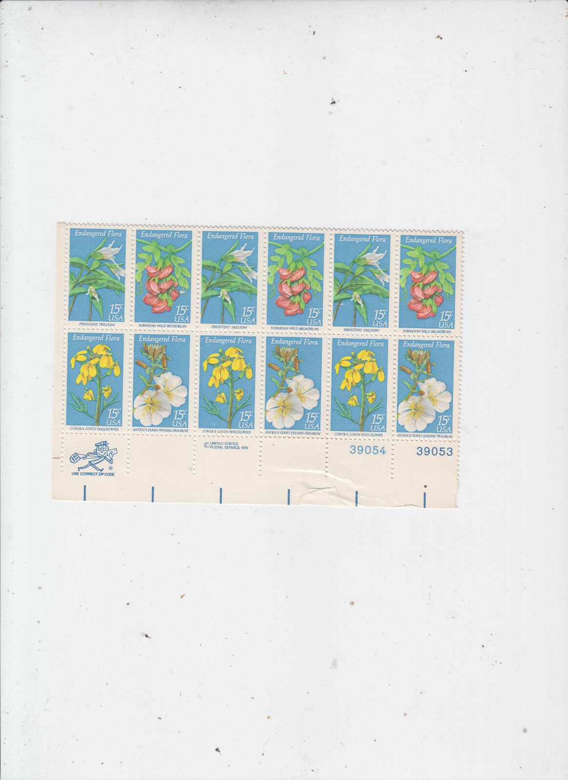 Bild 6 von 6