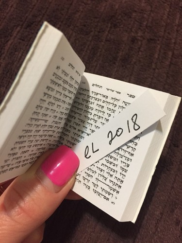 Miniatur Tehilim Gebet Mini Buch, rosa tolles Geschenk, ספר תהילים - Bild 2 von 8