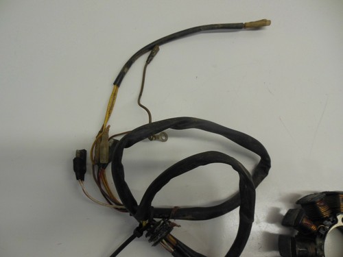 Estator Magneto Z84 Polaris Sportsman 500 2002 3087167 3089269 3086980 - Imagen 4 de 6