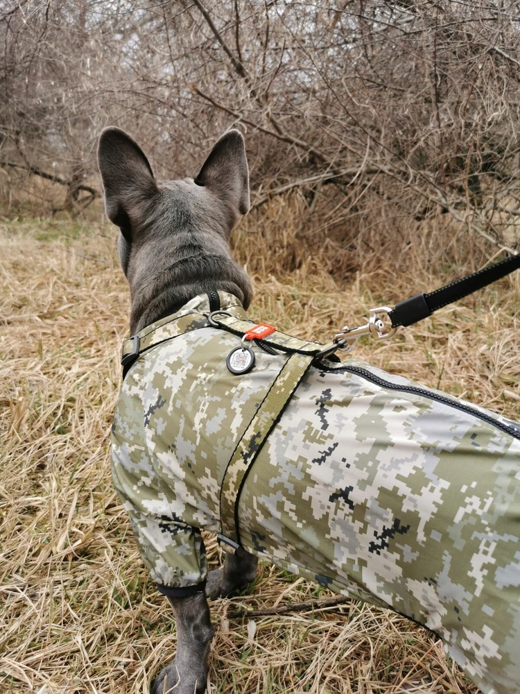 Dog Harness Anatomic Adjustable Nylon Plastic Fastex QR Passport WAUDOG Military