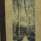 Bild 5 von 12