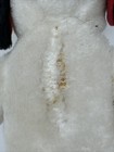 Bild 6 von 10