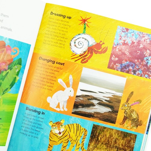 The Very Hungry Caterpillar's Very First Encyclopedia By DK - Age 3-7 - Hardback - Picture 5 of 5
