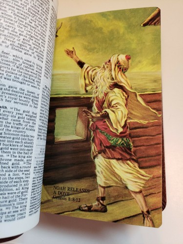 Thomas Nelson New American Holy Bible Catholic Bible Press 1987 Red 9033 BG - Picture 9 of 9