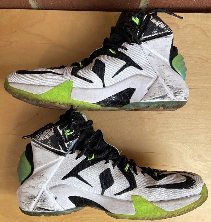 Nike Lebron 12 XII All Star All star game NYC Size 8.5