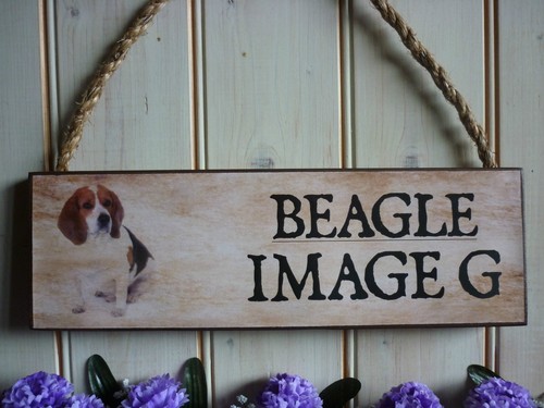PLACA CONMEMORATIVA BEAGLE PERSONALIZADA EN MEMORIA SIGNO CONMEMORATIVO DE MASCOTAS - Imagen 19 de 21
