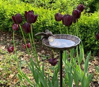 VogelträNke Gartenstecker Vogelbad Mit Stab Futterstation Antik-Stil 100Cm
