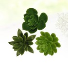  3 PCS Künstliche Pflanzen Für Den Innenbereich Künstliches Sukkulentendekor