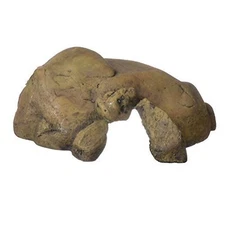 Exo Terra Reptile Den