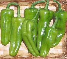 Pepperoncini Seeds Green Pepperoncini Chili Pepper 50 Seeds