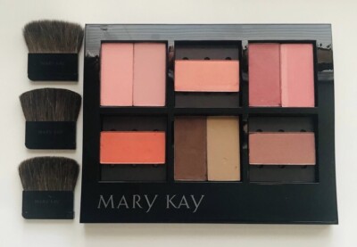 Mary Kay Filled Magnetic Display Palette w/ Chromafusion Cheek & Contour Colors