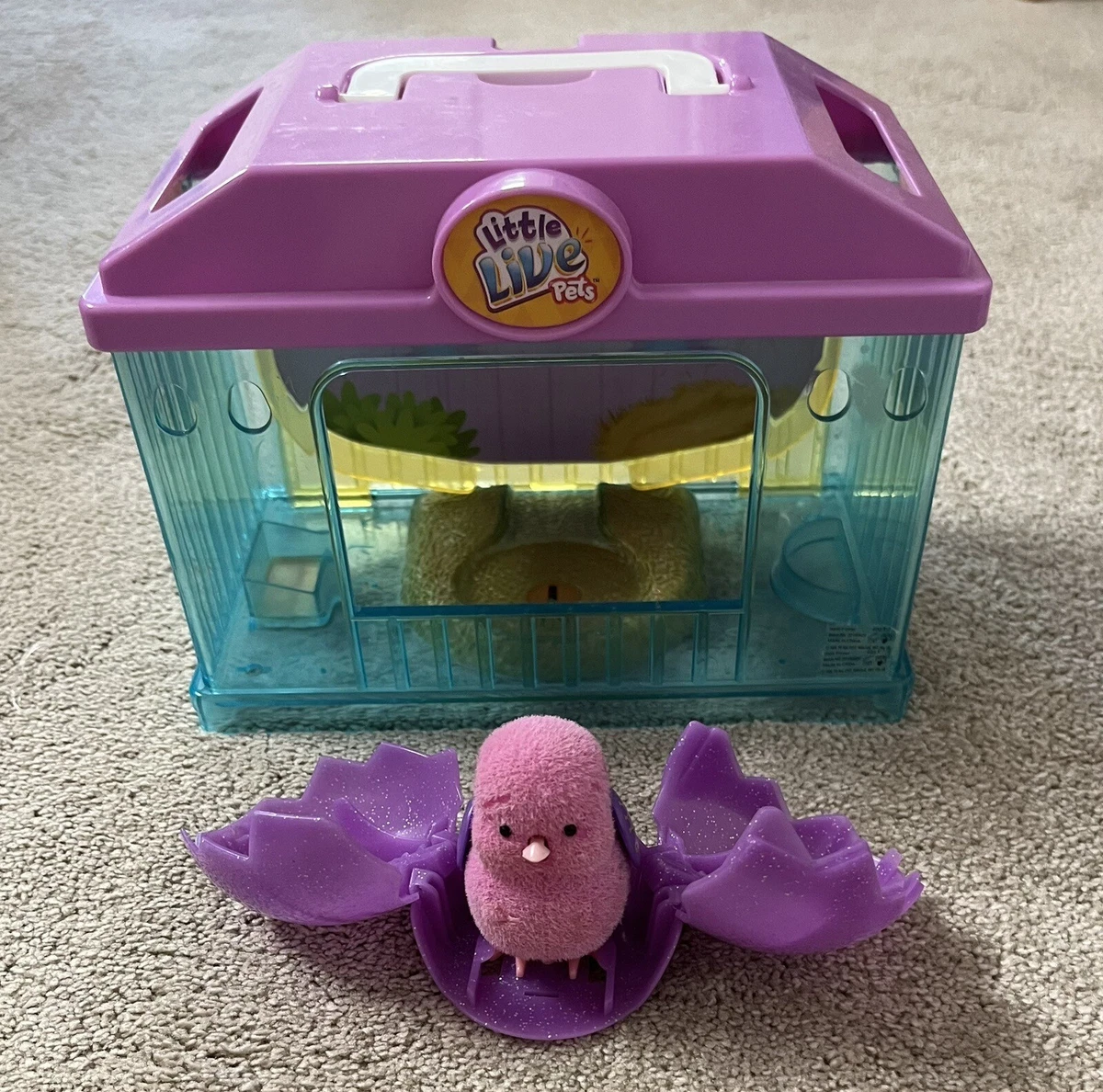 Little live hot sale pets pink bird