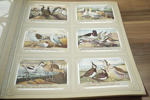 Liebig Album Chromo approx 50 pages 296 cards collectible pictures - Picture 8 of 12